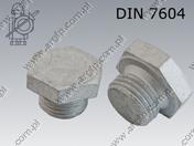 Пробка с външен шестостен DIN 7604 A (light type)