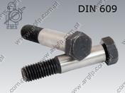 Hex head fit bolt S16 M10×30-10.9  DIN 609