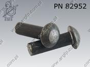 Round head rivet  10×45    DIN 124