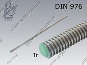 Threaded rod trapez. DIN 103 Tr16×4×1000-A2  ~DIN 976