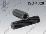 Hex socket set screw with cup point  M 5× 8-45H   ISO 4029