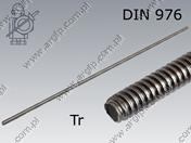 Threaded rod trapez. DIN 103 Tr18×4×1000-C15  ~DIN 976