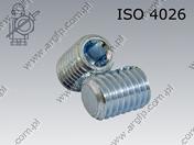 Hex socket set screw with flat point  M 3× 5-45H zinc plated  ISO 4026