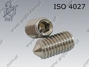 Hex socket set screw with cone point  M 6× 6-A2   ISO 4027