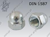 Гайка калпачата one-piece M10-6 поцинкован DIN 1587-1