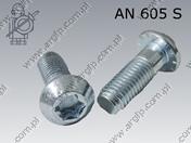 Śruba samoformuj. S12×30-10.9 поцинкован AN 605